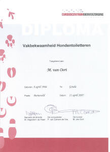 diploma