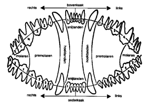 fig1